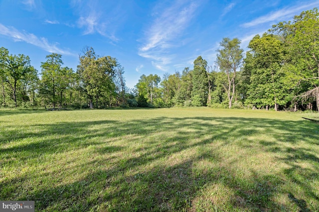2436 Warm Springs Rd, Shenandoah Junction, WV 25442 - view of grassy yard