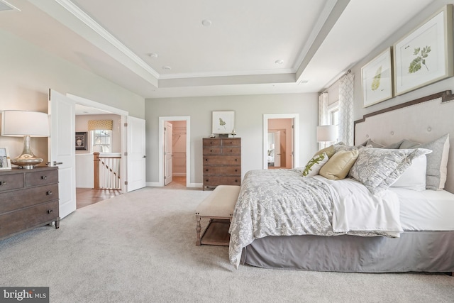 bedroom with a walk in closet, multiple windows, carpet flooring, and a tray ceiling