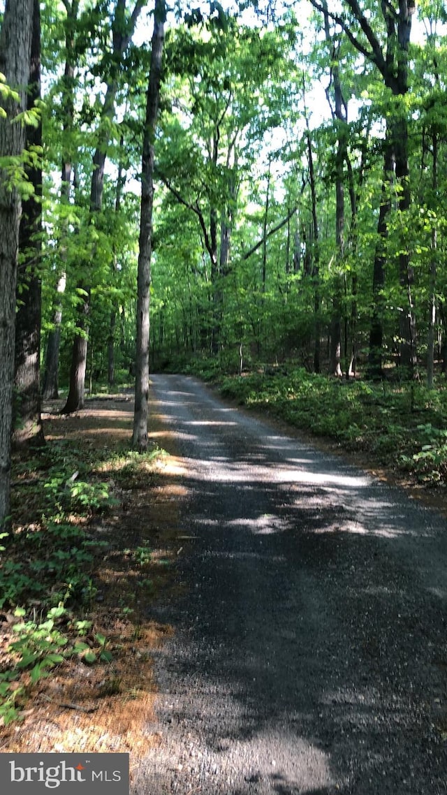 view of road