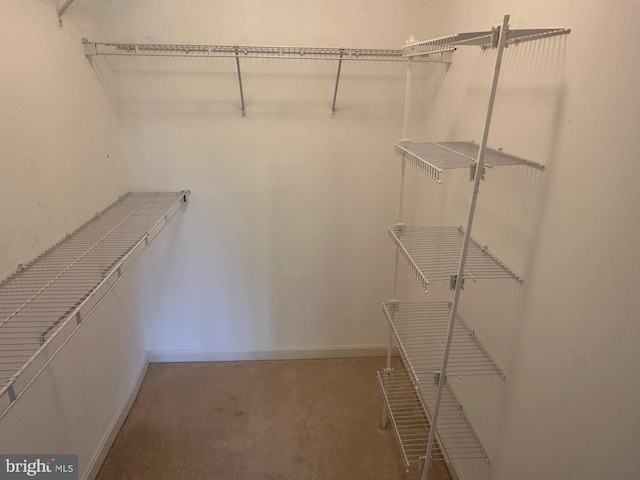 walk in closet with carpet