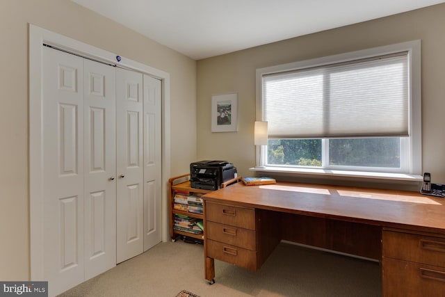 home office with light colored carpet