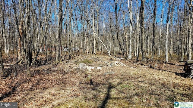 view of landscape