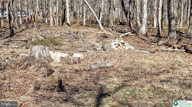 view of landscape
