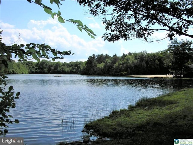 water view featuring a forest view