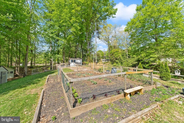 view of yard featuring an outdoor structure, a garden, fence, and a shed
