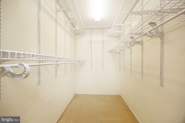 spacious closet with light colored carpet