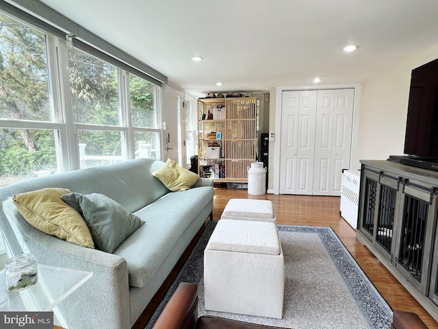 living room with wood finished floors and recessed lighting