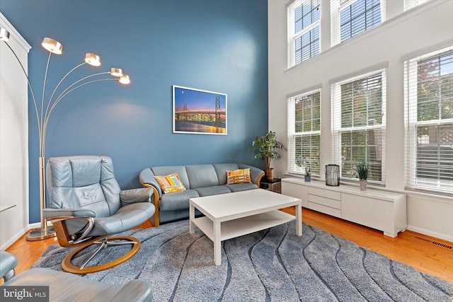 6780 Hollow Glen Ct, Gainesville, VA 20155 - living room with light wood finished floors, a towering ceiling, and baseboards