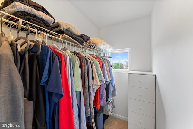 6780 Hollow Glen Ct, Gainesville, VA 20155 - spacious closet featuring carpet floors