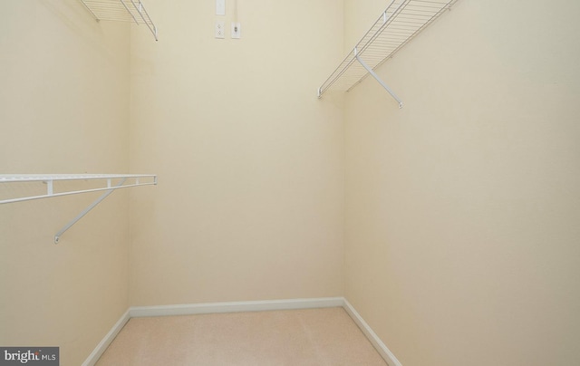 walk in closet featuring light carpet