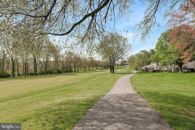 view of community featuring a yard