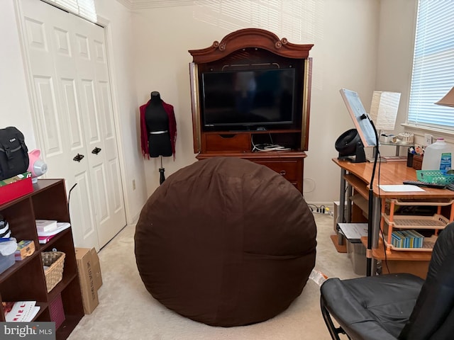 living area featuring carpet flooring