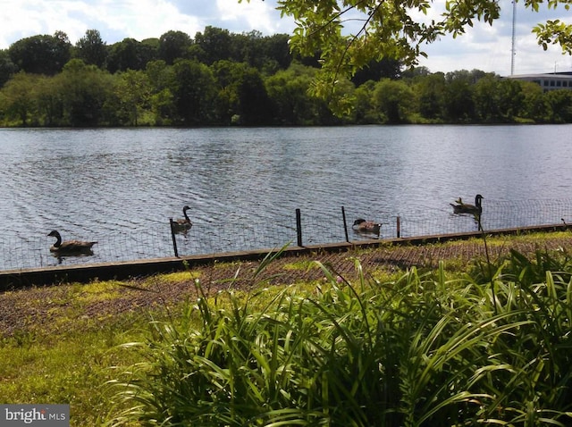 7743 Inversham Dr Unit 197, Falls Church, VA 22042 - water view featuring a dock