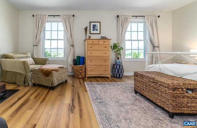 bedroom featuring baseboards, wood finished floors, and multiple windows
