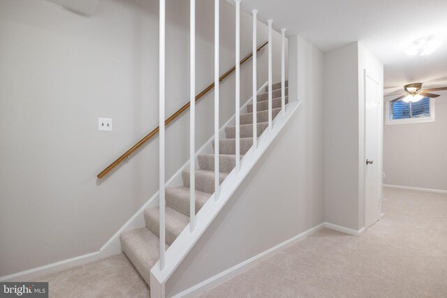 stairway with carpet floors, baseboards, and a ceiling fan