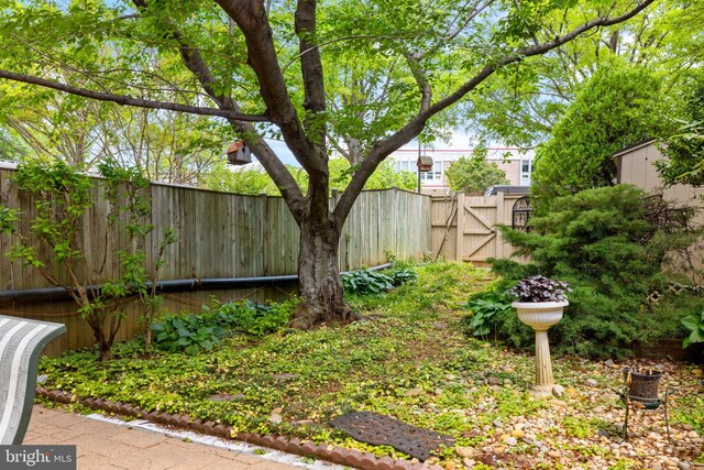 view of yard featuring a gate and a fenced backyard