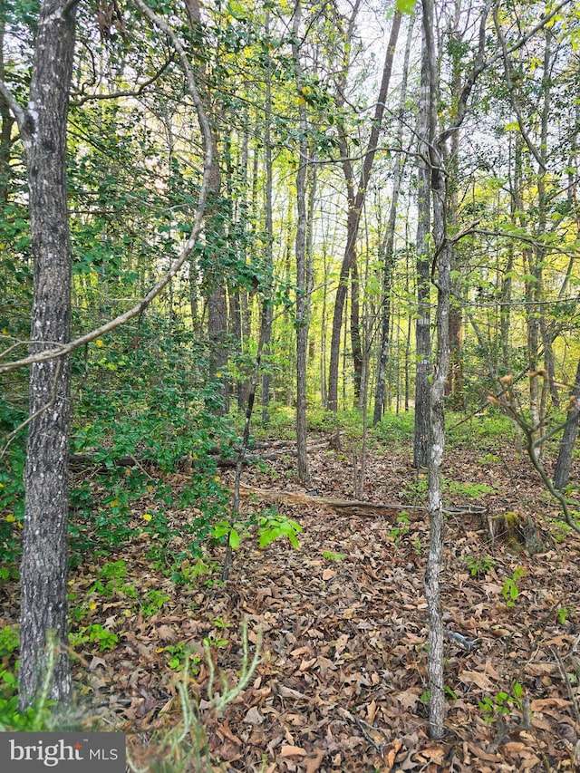LOT16TAXID94A-2B-16 Jennings Dr, Ruther Glen, VA 22546