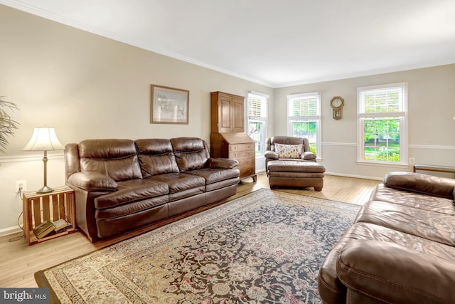 7117 Stanchion Ln, Burke, VA 22015 - living area with light wood-type flooring, crown molding, and baseboards