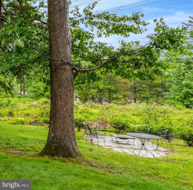 7117 Stanchion Ln, Burke, VA 22015 - view of community with a lawn and a patio area