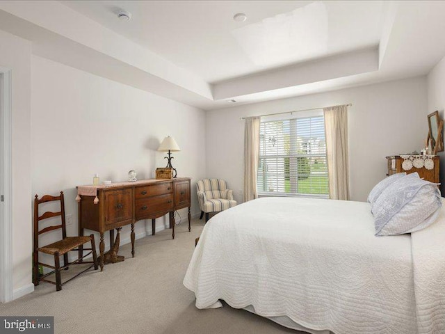 139 Gazebo Ln, Middletown, DE 19709 - bedroom featuring carpet floors and a tray ceiling