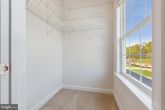 3419 Pocahontas Dr, Edgewater, MD 21037 - walk in closet featuring carpet flooring