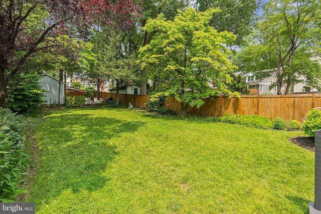 3213 Jocelyn St NW, Washington, DC 20015 - view of fenced backyard