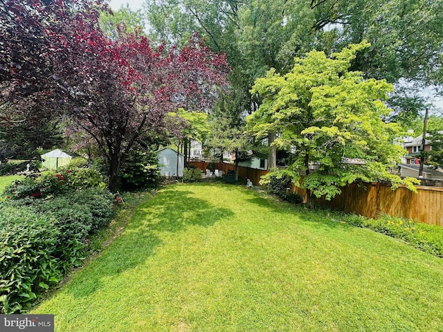 3213 Jocelyn St NW, Washington, DC 20015 - view of yard