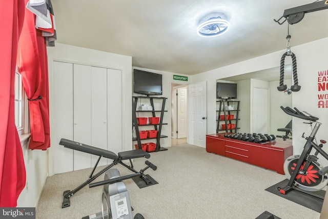 705 Hope Ln, Gaithersburg, MD 20878 - exercise area with carpet flooring