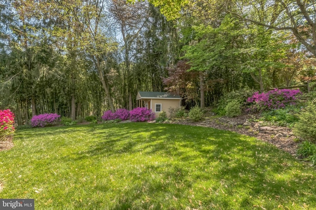 705 Hope Ln, Gaithersburg, MD 20878 - view of yard with an outbuilding