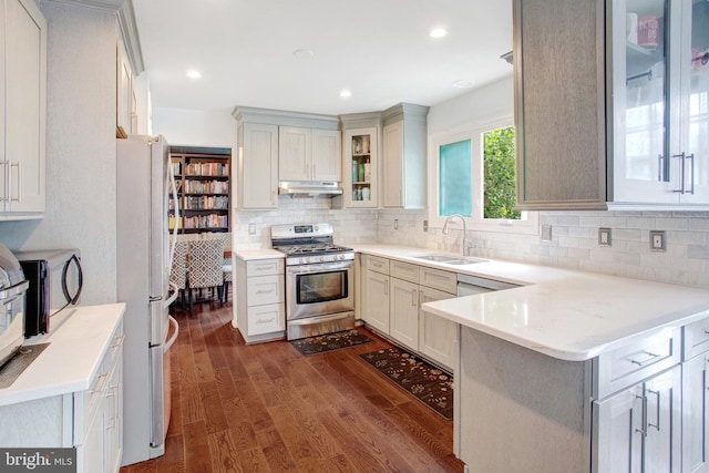kitchen with stainless steel appliances, under cabinet range hood, a sink, dark wood finished floors, and decorative backsplash