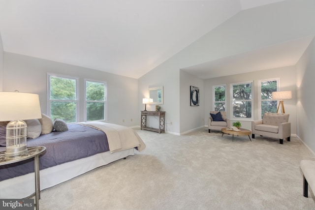 13434 Fairland Park Dr, Silver Spring, MD 20904 - bedroom with multiple windows, light carpet, baseboards, and high vaulted ceiling