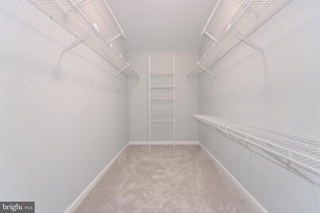 13434 Fairland Park Dr, Silver Spring, MD 20904 - spacious closet with light colored carpet