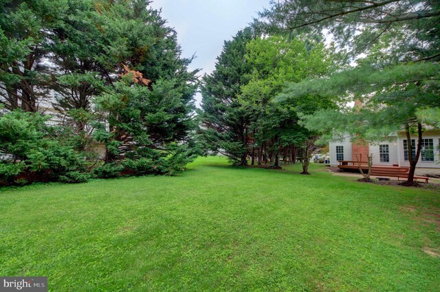 13434 Fairland Park Dr, Silver Spring, MD 20904 - view of grassy yard with a deck