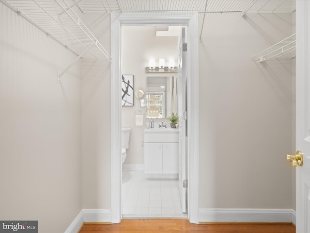 walk in closet with a sink
