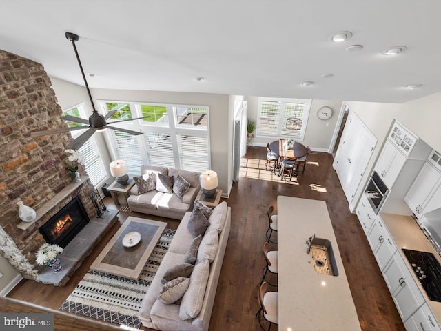 32953 Shadeland Ave, Millsboro, DE 19966 - living area featuring baseboards, dark wood-style floors, a stone fireplace, and a wealth of natural light