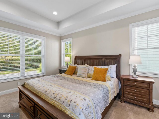 32953 Shadeland Ave, Millsboro, DE 19966 - carpeted bedroom with baseboards, recessed lighting, crown molding, and a tray ceiling