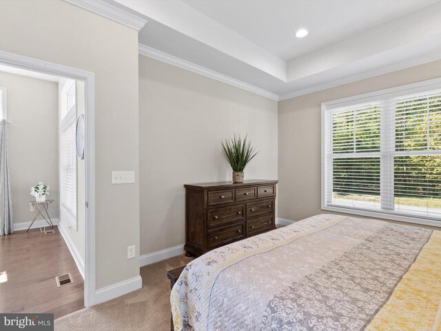 32953 Shadeland Ave, Millsboro, DE 19966 - bedroom featuring crown molding, visible vents, baseboards, recessed lighting, and a raised ceiling