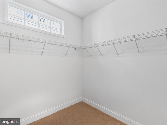 32953 Shadeland Ave, Millsboro, DE 19966 - spacious closet with carpet