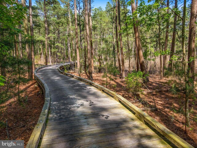 32953 Shadeland Ave, Millsboro, DE 19966 - view of road featuring a forest view