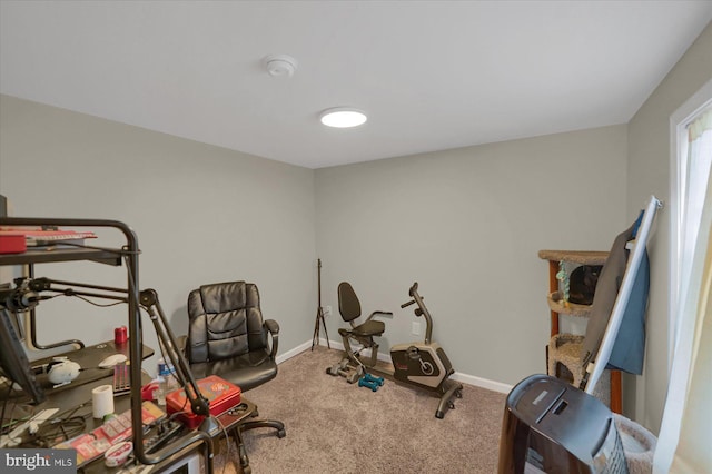 exercise room featuring carpet flooring and baseboards