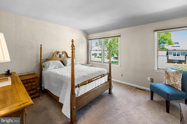 carpeted bedroom with visible vents, baseboards, and multiple windows