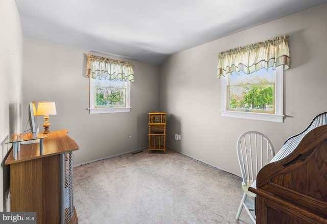 sitting room featuring carpet floors