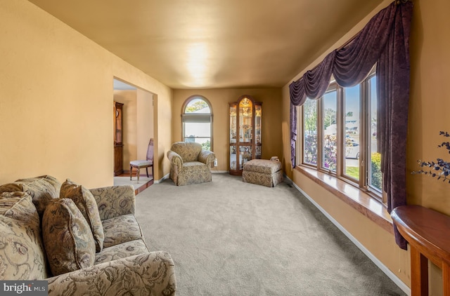 sitting room with baseboards and carpet flooring