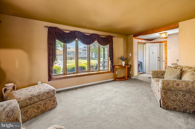 living room with baseboards and carpet