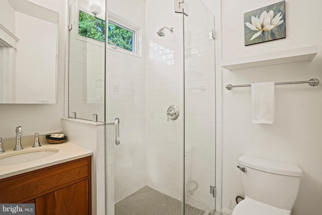 full bathroom featuring vanity, toilet, and a stall shower