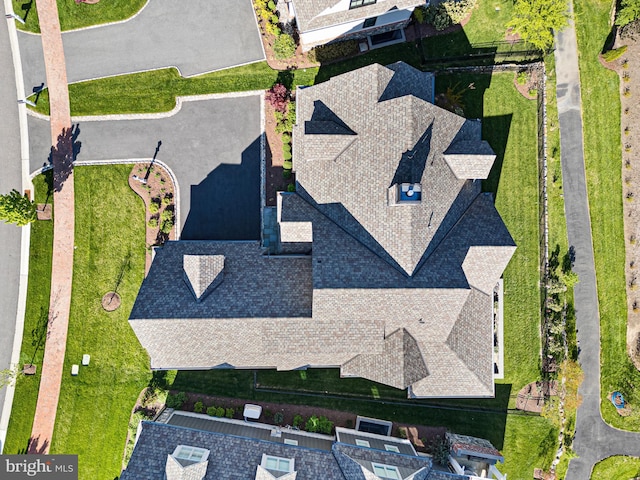 bird's eye view