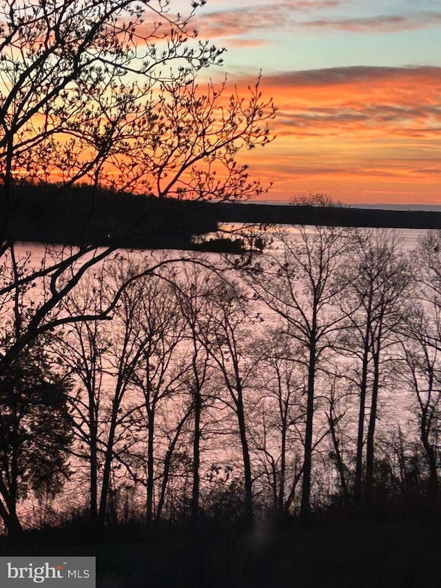 820 Belmont Bay Dr Unit 405, Woodbridge, VA 22191 - water view
