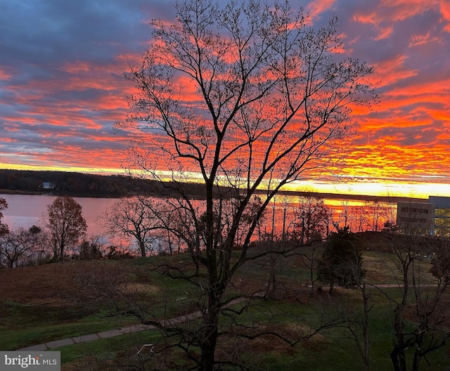 820 Belmont Bay Dr Unit 405, Woodbridge, VA 22191 - water view