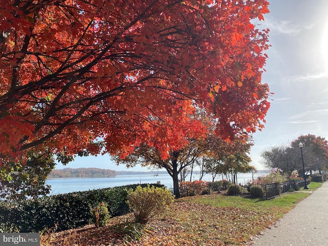 820 Belmont Bay Dr Unit 405, Woodbridge, VA 22191 - view of road with a water view and street lights