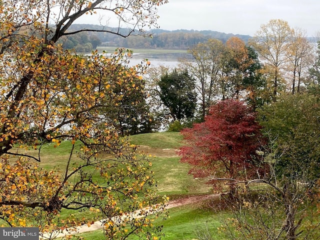 820 Belmont Bay Dr Unit 405, Woodbridge, VA 22191 - exterior space